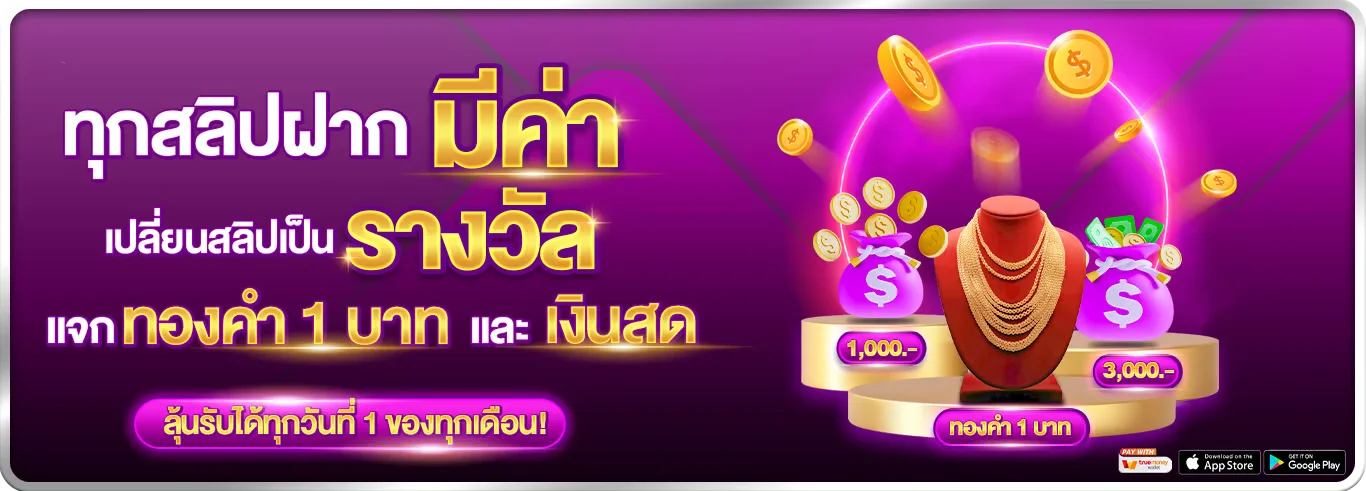 champions365